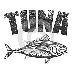 Vector hand drawn tuna line art sketch. Sea food fish drawing illustration. Engraved isolated on white background