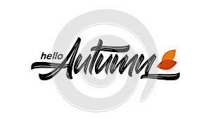 Vector hand drawn type lettering of Hello Autumn with fall leaves.