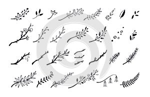 Vector hand drawn vintage floral elements. Set of forest doodle flowers and brunches for Wedding, Birthday