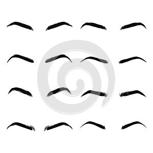 Vector Hand Drawn Woman s, Female Sexy Eye Brows, Perfectly Shaped Eyebrows. Makeup, Cosmetics, Beauty Design Template