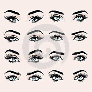 Vector Hand Drawn Woman s, Female Sexy Eyes, Perfectly Shaped Eyelashes, Eyebrows. Design Template for Business Visit