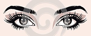 Vector Hand Drawn Woman s, Female Sexy Eyes, Perfectly Shaped Eyelashes, Eyebrows. Design Template for Business Visit