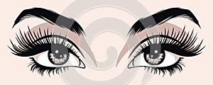 Vector Hand Drawn Woman s, Female Sexy Eyes, Perfectly Shaped Eyelashes, Eyebrows. Design Template for Business Visit