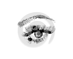 Vector hand drawn women fashion eye make up illustration on white background