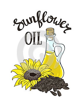 Vector hand drawn yellow sunflower, sunflower seeds and glass jug with oil.