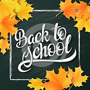 Vector hand lettering greeting text - back to school - with chalk frame and realistic maple leafs on blackboard