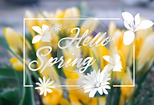 Vector hand lettering inspirational typography poster Hello spring on blur background. Fun quote design logo or label.