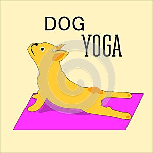 Vector hand-painted yoga postures with cartoon animals in different poses for body care and feet in the lotus health and fitness