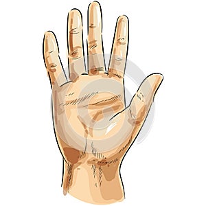 Vector hand palm pop art icon isolated on white