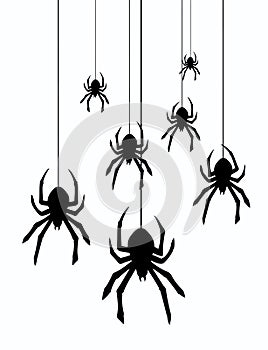 vector hanging spiders