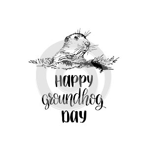 Vector Happy Groundhog Day sketched illustration with hand lettering. February 2 greeting card, poster etc