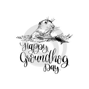 Vector Happy Groundhog Day sketched illustration with hand lettering. February 2 greeting card, poster etc