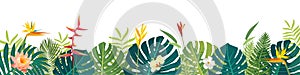 Vector Hawaiian Balinese Polynesian Summer beautiful jungle exotic leaves long horizontal banner. Botanical summer design.