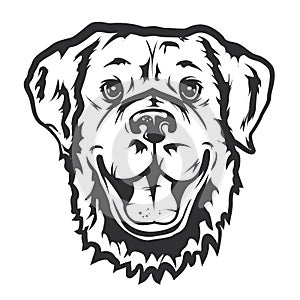 Vector of a head dog logo in a flat style