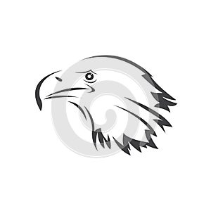 Vector Head of an Eagle. Black. Logo. Mascot. illustration. on white background