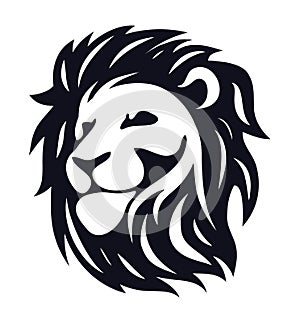 Vector head of lion photo