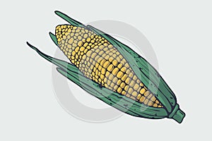 Vector healthy food illustration. Corn hand drawn sign. Good for leaflets, cards, posters, prints, menu.