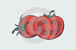 Vector healthy food illustration. Tomato hand drawn sign. Good for leaflets, cards, posters, prints, menu.