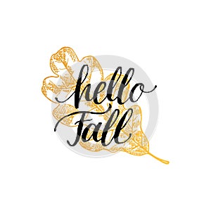 Vector Hello Fall hand lettering. Oak leaf illustration on white background. Typography poster.