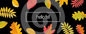 Vector Hello Fall Sale horizontal promotion banner. Bright warm colors design template. Vivid colorful realistic falling autumn