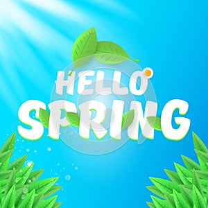 Vector hello spring banner with green grass, sky and flowers. hello spring flyer, banner or background with green field