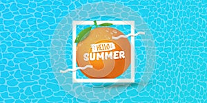 Vector Hello Summer horizontal banner or flyer Design template with fresh orange fruit isolated on azure water