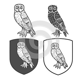 Vector heraldic shields with owl