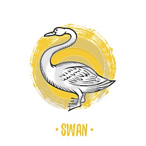 Vector heraldic shields with swan