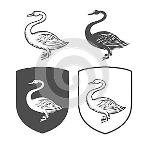 Vector heraldic shields with swan