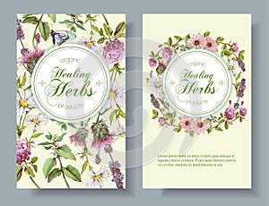 Vector herbal banner