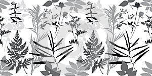 Vector herbal pattern. Seamless floral background for packaging, textiles, Wallpaper. Monochrome floral elements. White background