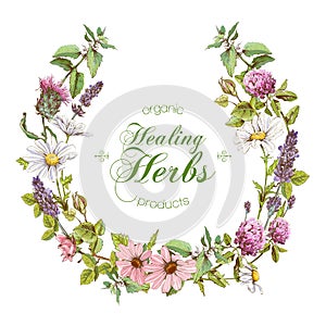 Vector herbal wreath