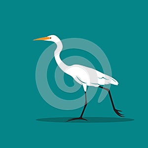 Vector of Heron or egret design Ciconiiformes, Ardeidae.