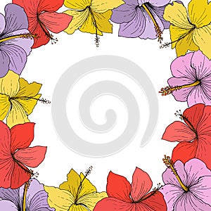 Vector Hibiscus floral tropical flowers. Engraved ink art on white background. Frame border ornament square.