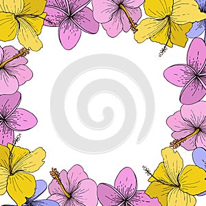 Vector Hibiscus floral tropical flowers. Engraved ink art on white background. Frame border ornament square.