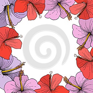 Vector Hibiscus floral tropical flowers. Engraved ink art on white background. Frame border ornament square.