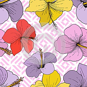 Vector Hibiscus floral tropical flowers. Engraved ink art on white background. Seamless background pattern.