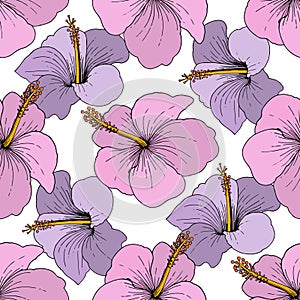 Vector Hibiscus floral tropical flowers. Engraved ink art on white background. Seamless background pattern.
