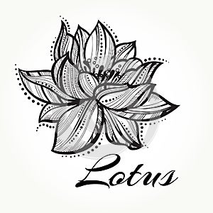 Vector high detailed beautiful Lotus flower. Tattoo, yoga, spiritualy. Engraved art isolated photo