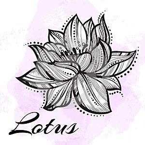 Vector high detailed beautiful Lotus flower. Tattoo, yoga, spiritualy. Engraved art isolated photo