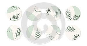 Vector highlight story cover icons for instagram. Abstract circle organic green backgrounds with palm leaves