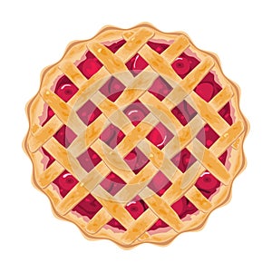 Vector homemade fruit and berry pie