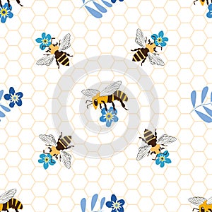 Vector honey bee and Forget-me-not flower seamless pattern background. Flying insect and florals on honeycomb backdrop