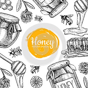 Vector honey bee hand drawn illustrations. Honey banner, poster
