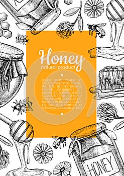 Vector honey bee hand drawn illustrations. Honey banner, poster