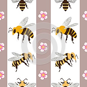 Vector honey bee and manuka flower seamless pattern background. Flying insect striped floral pink white backdrop