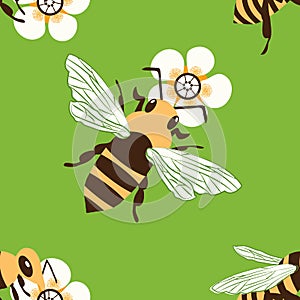 Vector honey bee and manuka flower seamless pattern background. Hand drawn striped insect and floral green backdrop
