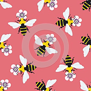 Vector honey bee and manuka flower seamless pattern background. Hand drawn striped insect and floral pink backdrop