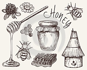 Vector honey elements set. hand drawn honey jar, spoon, stick, cells, camomile. ink sketch of organic nature products