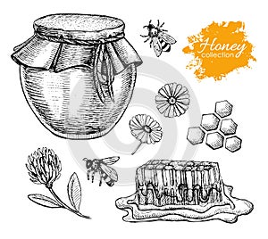 Vector honey set. Vintage hand drawn illustration.